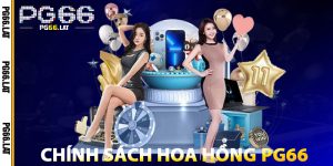 Chính Sách Hoa Hồng Đại Lý PG66